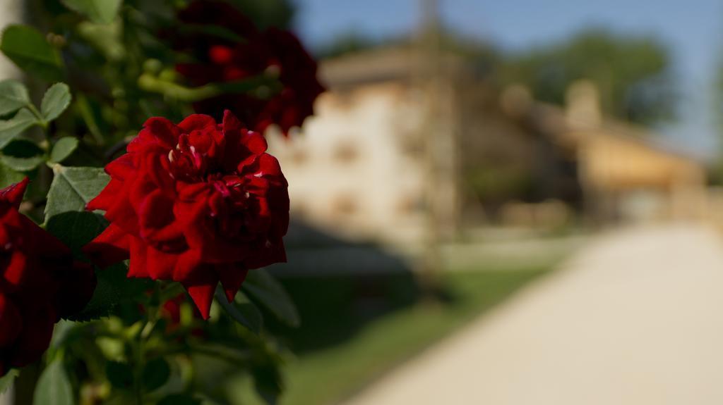 Ca' Muliner Hotel Azzano Decimo Buitenkant foto