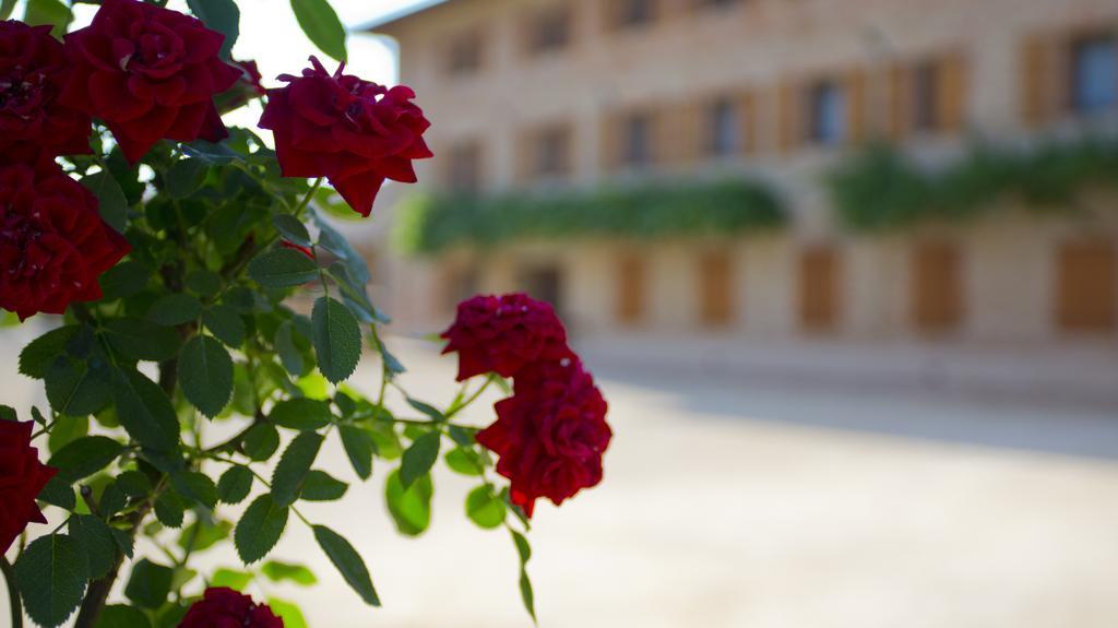 Ca' Muliner Hotel Azzano Decimo Buitenkant foto
